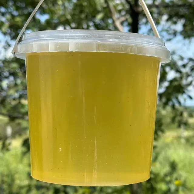 Банка светлого прозрачного акациевого мёда на фоне цветущей белой акации